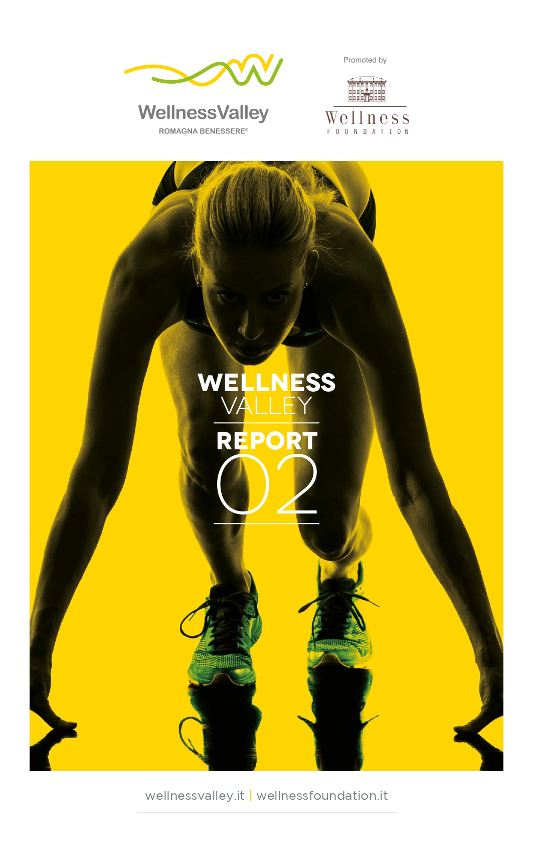 Cover Wellness Valley Report 02