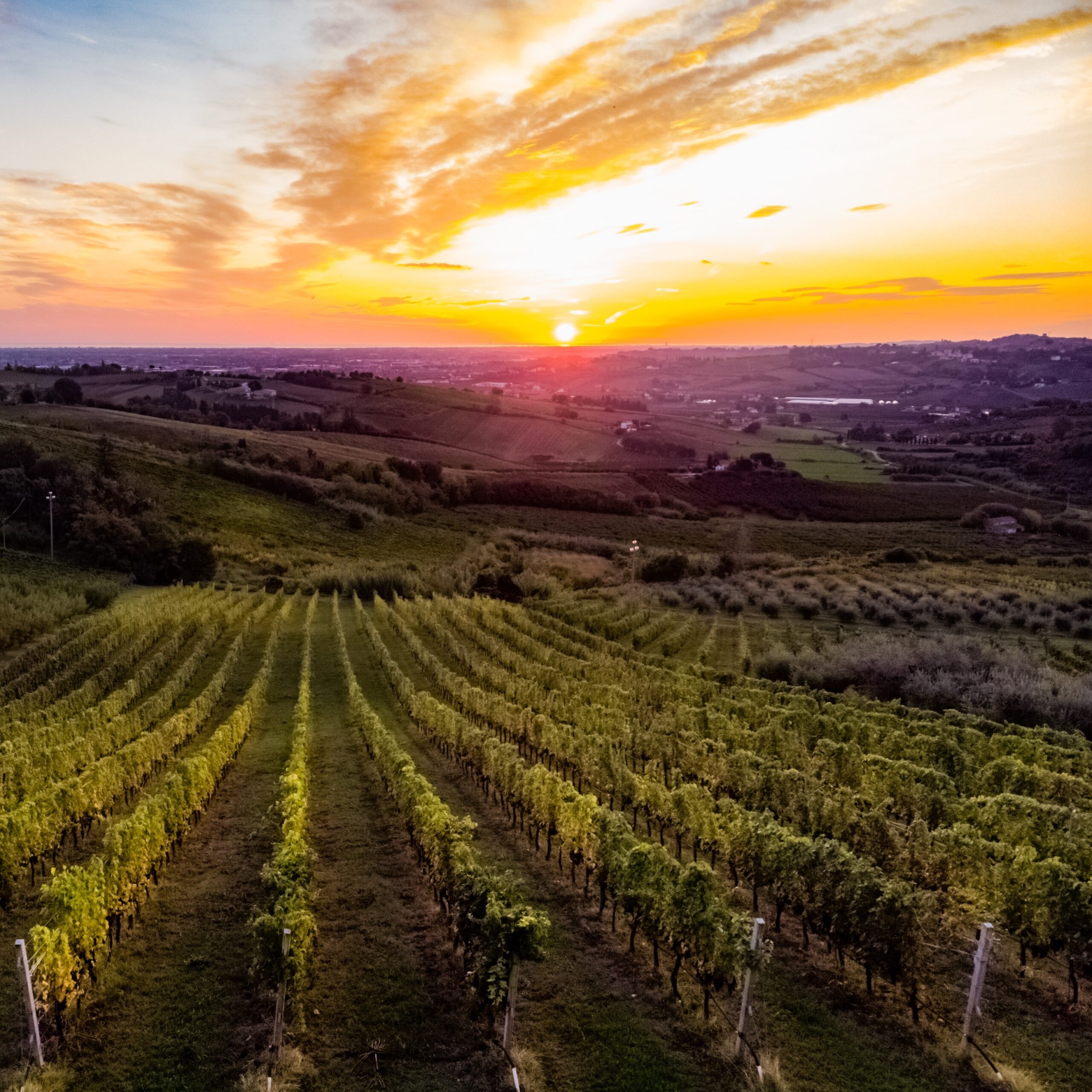 28092019-DJI_0423 – Edoardo Manuzzi