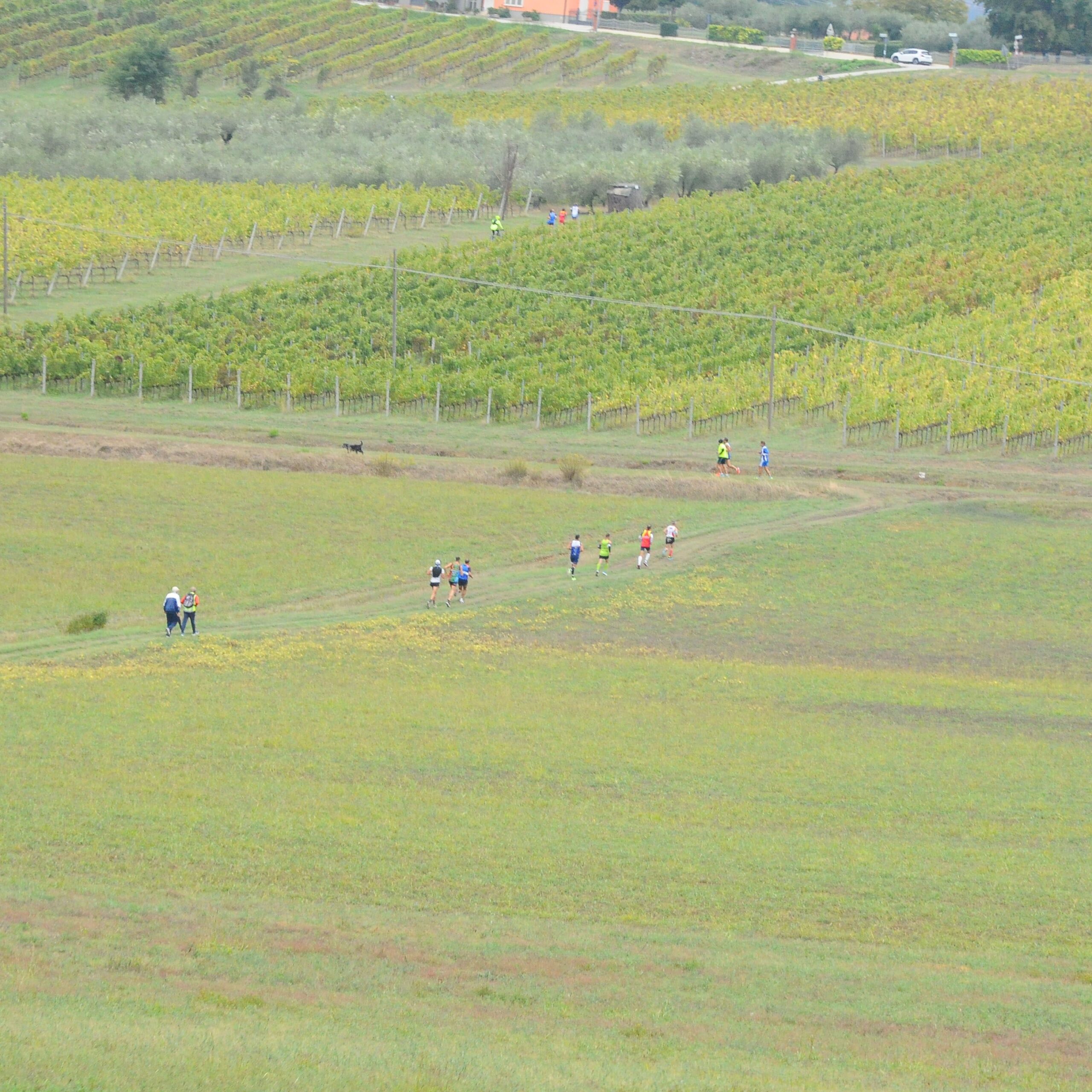 DSC_8072 – mario ricci