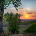 panorama campagna Coriano – Anna Pazzaglia