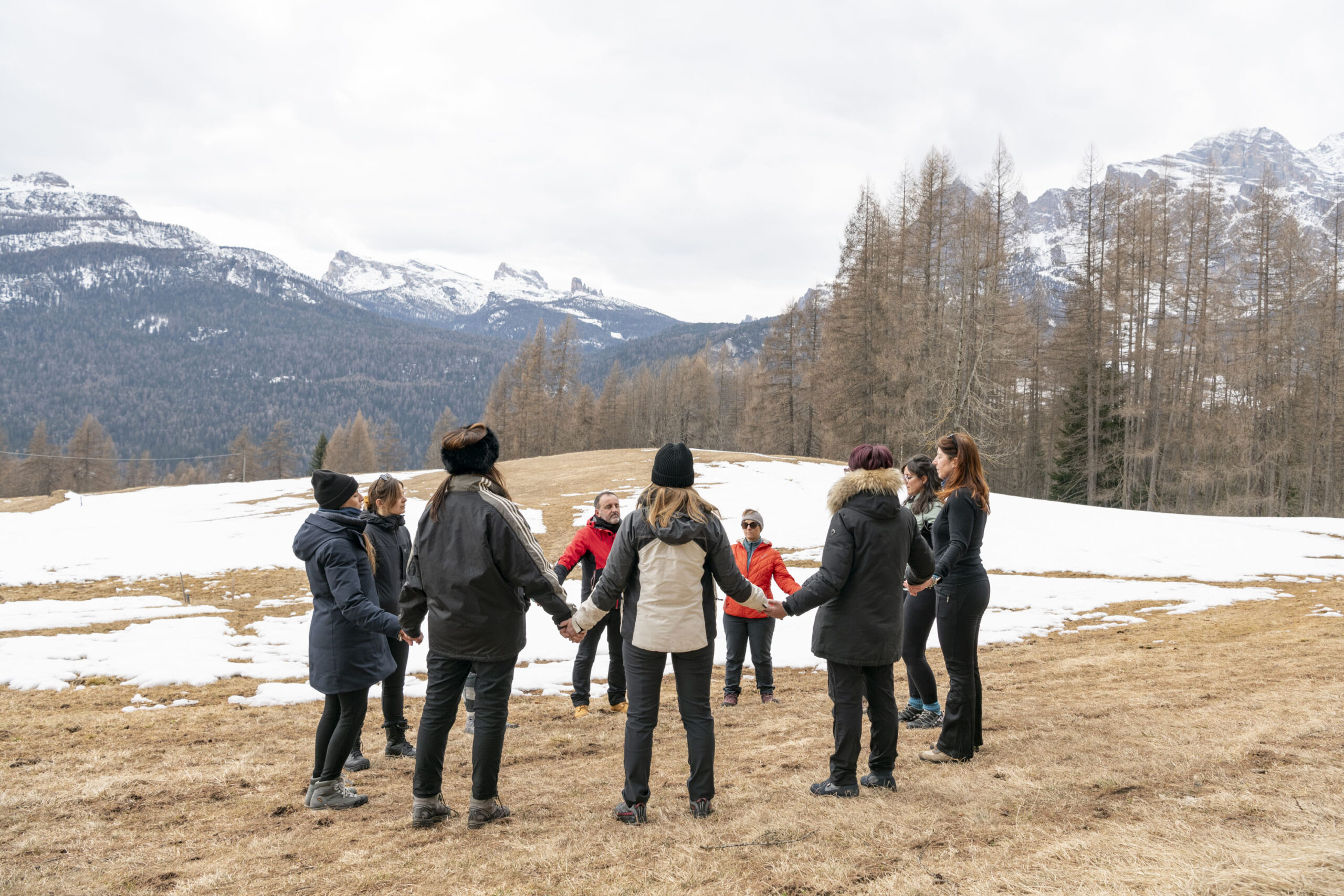 CIW - volpe fraina_19